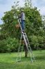 Afbeeldingen van HAILO LADDER 3X12TREE COMBI PROFILOT