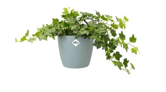 Afbeeldingen van ELHO BLOEMPOT Ø14 CM MINT ROND BRUSSELS