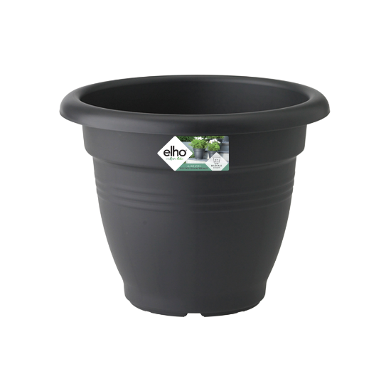 Afbeeldingen van ELHO BLOEMP.Ø35CM ZWART-433 CAMPANA