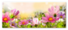 Afbeeldingen van STYLER FLOWERS 50X125 ASTRY