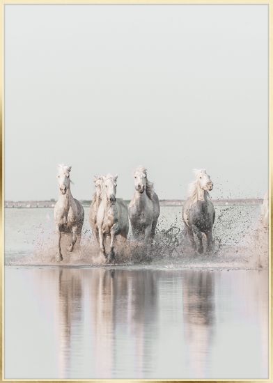 Afbeeldingen van STYLER ARTBOX 50X70 DIGI RUN STYLER
