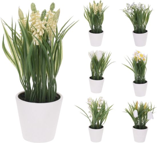 Afbeeldingen van KM PLANT IN POT PP MET TOUW