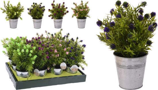 Afbeeldingen van KM PLANT IN POT 26CM 