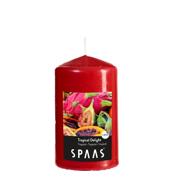 Afbeeldingen van SPAAS 0004500006 KAARS SC TROP DELIGHT 60/100 TRUE RED