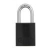 Afbeeldingen van ABUS HANGSLOT 72/40HB40 GEKLEURD