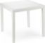 Afbeeldingen van TUINTAFEL KING WIT