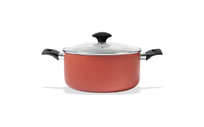 Afbeeldingen van BRINOX BRAADPAN M/DEKSEL 22CM